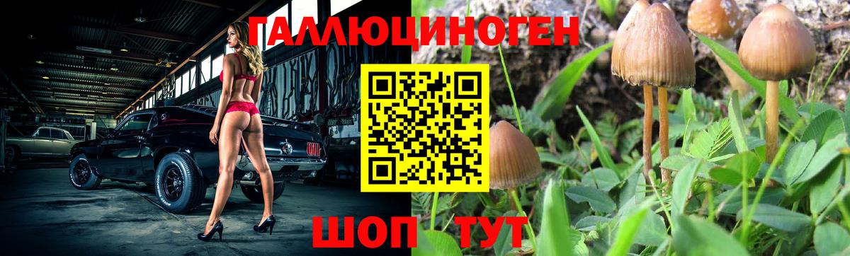 купить наркотик  Псилоцибиновые грибы прущие грибы  Вход с VPN  Заринск 